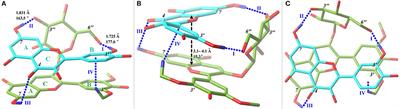 Oenin and Quercetin Copigmentation: Highlights From Density Functional Theory